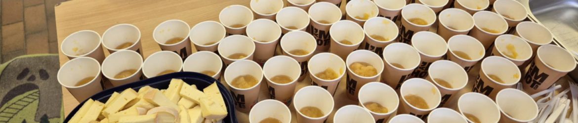 631127529_1517016647094859_5620976030539577364_n